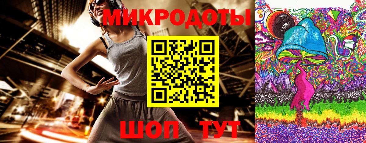 Галлюциногенные грибы Psilocybine cubensis Полевской
